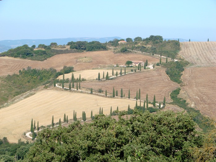 DSC03698