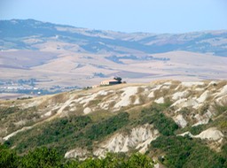 DSC03703