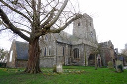 DSC03973.jpg