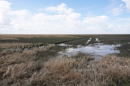 DSC04002.jpg