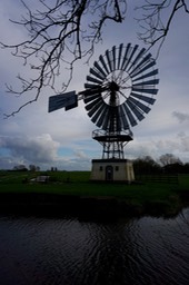 DSC04040.jpg