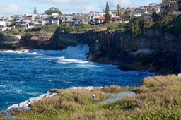DSC04123.jpg