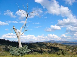 DSC04144