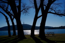 DSC04263.jpg