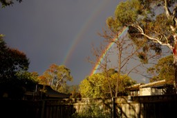DSC04277.jpg