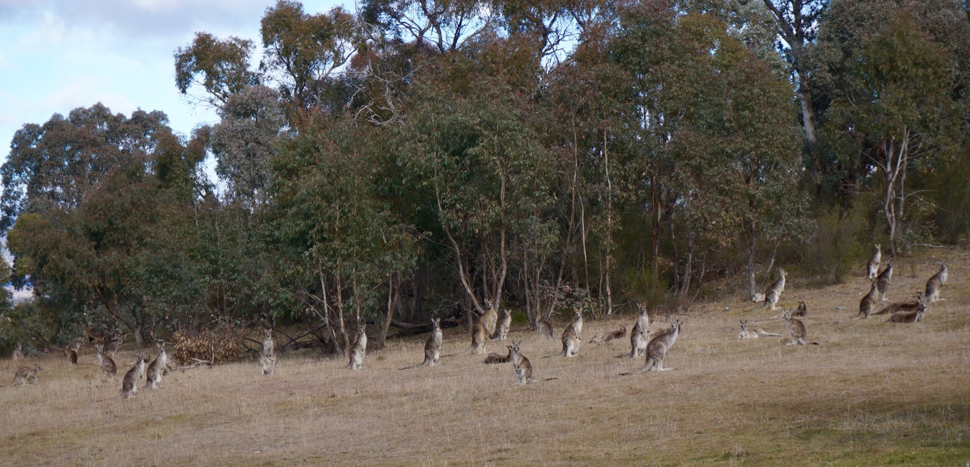 DSC04288.jpg