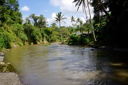 DSC04589.jpg