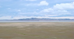 DSC04692