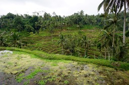 DSC04717.jpg
