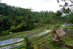 DSC04729.jpg