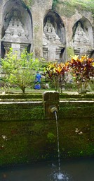 DSC04743.jpg