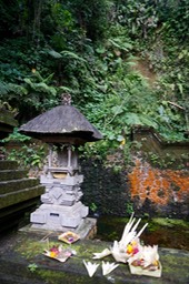 DSC04752.jpg
