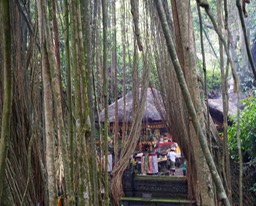 DSC04874.jpg