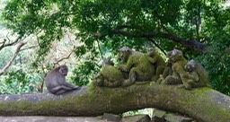 DSC04907.jpg