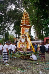 DSC04942.jpg