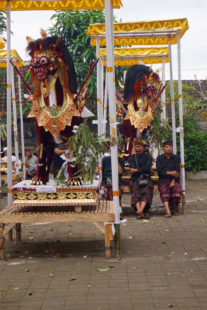 DSC04952.jpg