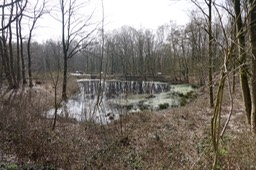 DSC05469.jpg