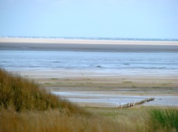 DSC05491