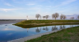 DSC05561.jpg