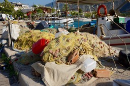 DSC05883.jpg