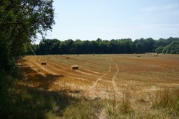 DSC06053.jpg