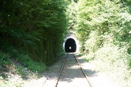 DSC06054.jpg