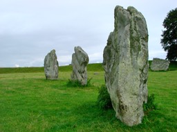DSC06054