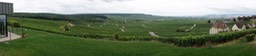 DSC06166.jpg