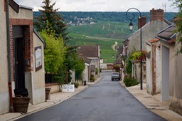 DSC06178.jpg