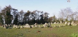 DSC06405.jpg