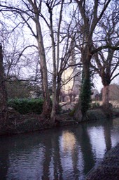 DSC06456.jpg