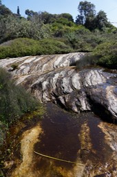 DSC06485.jpg