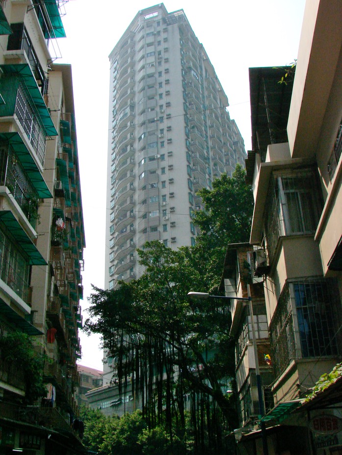 DSC06824