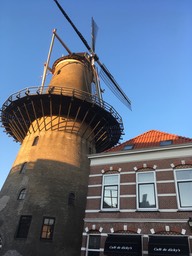 IMG_0059.jpg