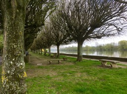 IMG_0171.jpg
