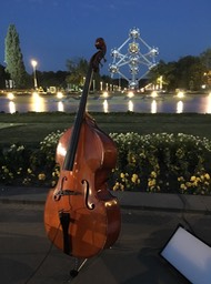 IMG_0257