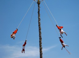 IMG_0656