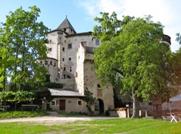IMG_1794