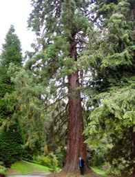 IMG_2020