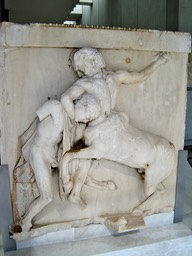 IMG_2904