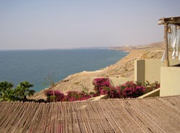 IMG_3353