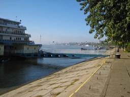 IMG_3771.jpg