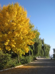 IMG_3772.jpg