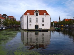 P1014882.jpg