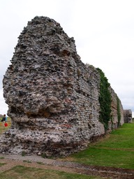 P1015627.jpg