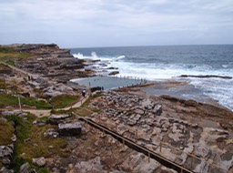 P1045196.jpg