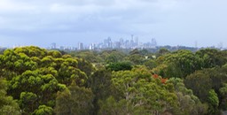 P1045201.jpg