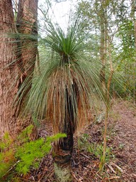 P7152271