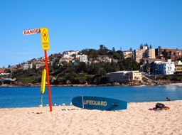 P8052424