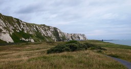 P8115463.jpg